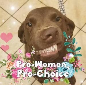 Meet your Posher, Lynne